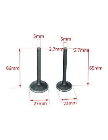 Admission valve / exhaust valve pit bike 125
