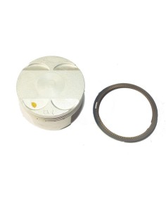 Piston assy for daytona anima