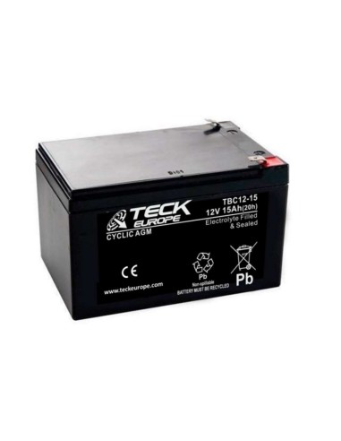 Battery 6-dzm-12