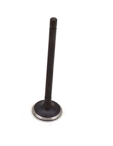 Valvula de escape MTR MCT 125cc E4