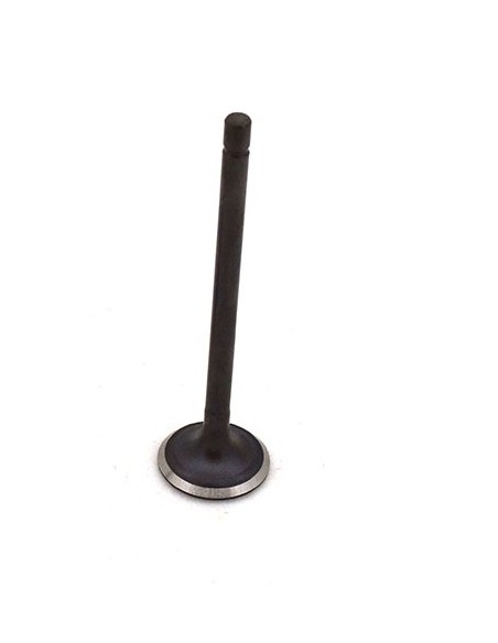 Valvula de escape MTR MCT 125cc E4