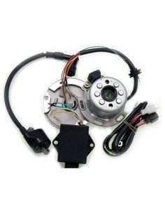 Inner rotor daytona