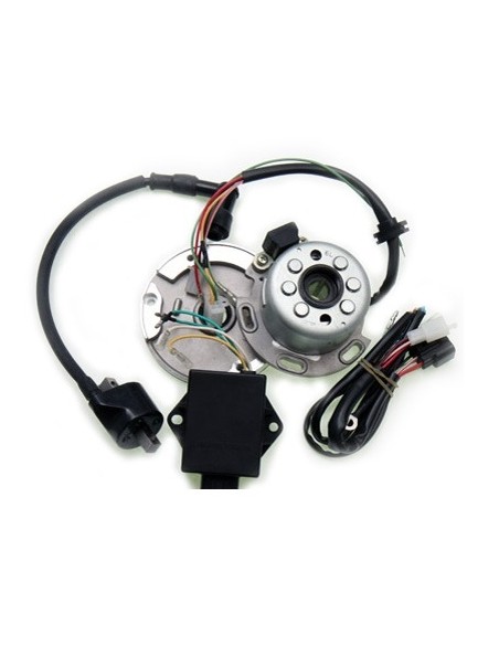 Inner rotor daytona