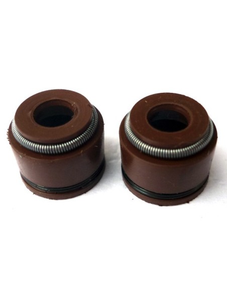 Retenes de valvula motor zs190/daytona