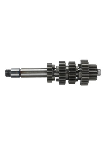 Main and count shaft zs190