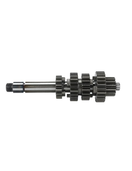 Main and count shaft zs190