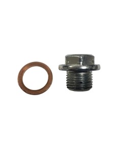 Bolt oil engine morini
