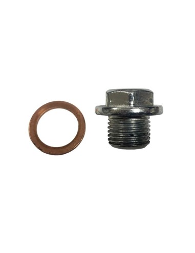 Bolt oil engine morini