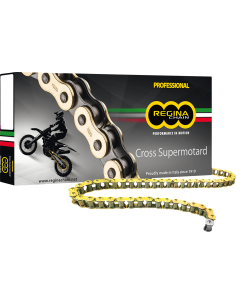 REGINA chain RH2 420
