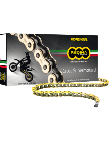 REGINA chain RH2 420