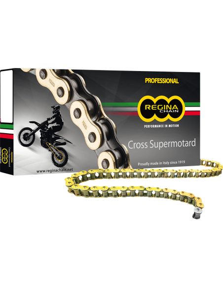 REGINA chain RH2 420