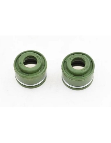 Retenes motor zs250