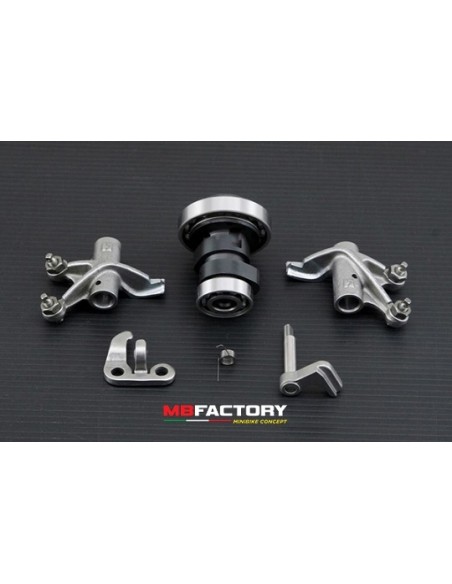 Arbol de levas potenciado Daytona Anima 4V
