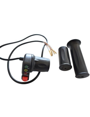 Electric throttle ebike 24v