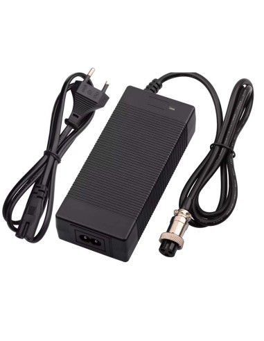 Cargador miniquad electrico 1000w