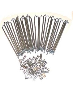 Set Spoke 12 or 14 head 90º