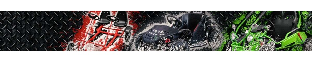 Karts y Buggies para jovenes y adultos con motor eléctrico y gasolina